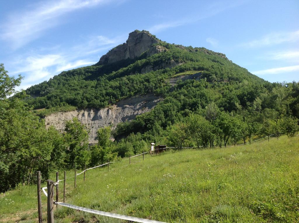 Agriturismo Ca' Di Mazza Monzuno エクステリア 写真