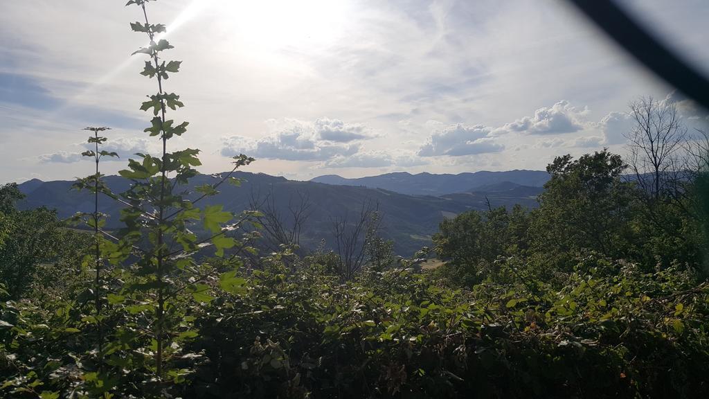 Agriturismo Ca' Di Mazza Monzuno エクステリア 写真