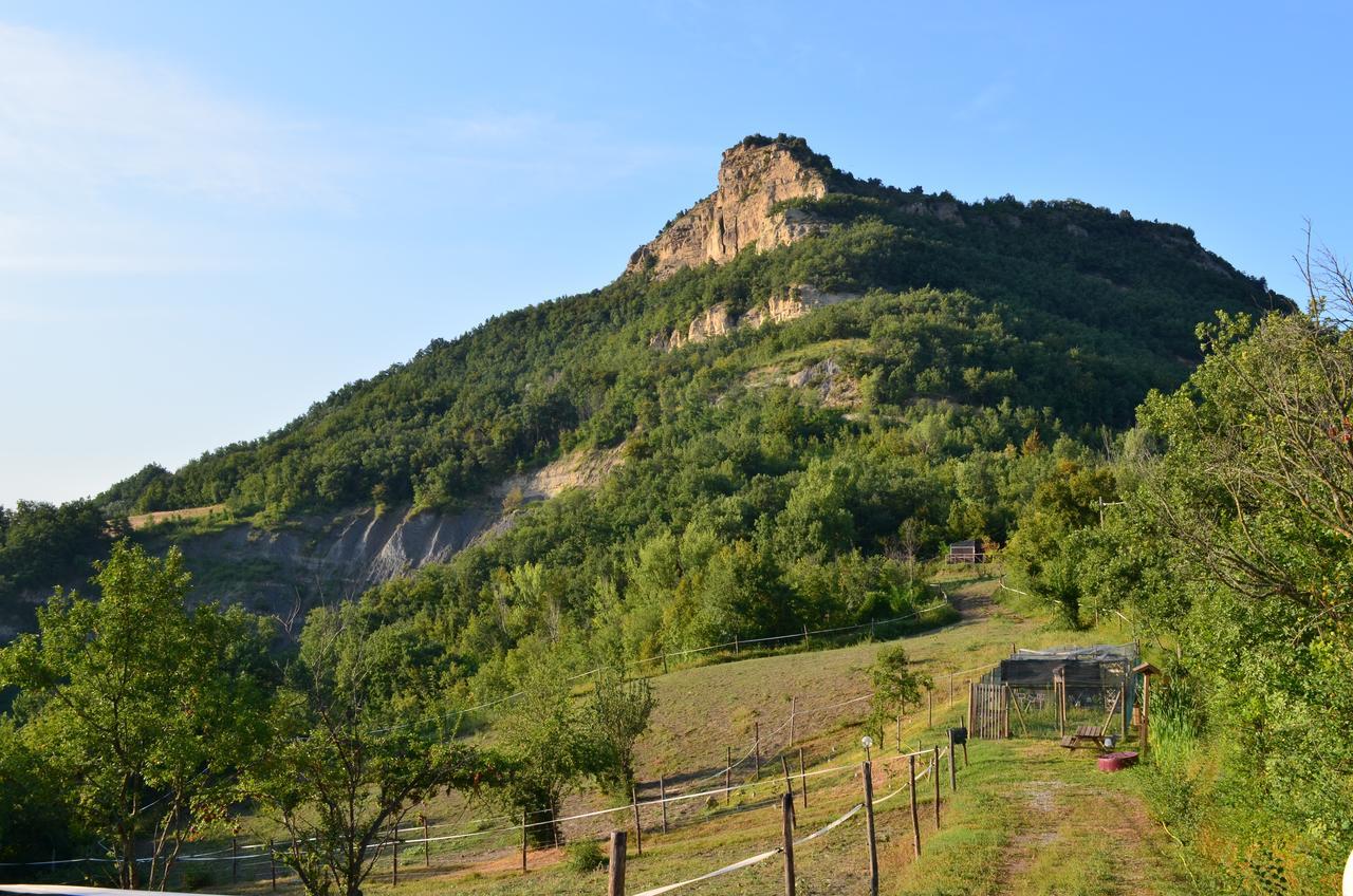 Agriturismo Ca' Di Mazza Monzuno エクステリア 写真