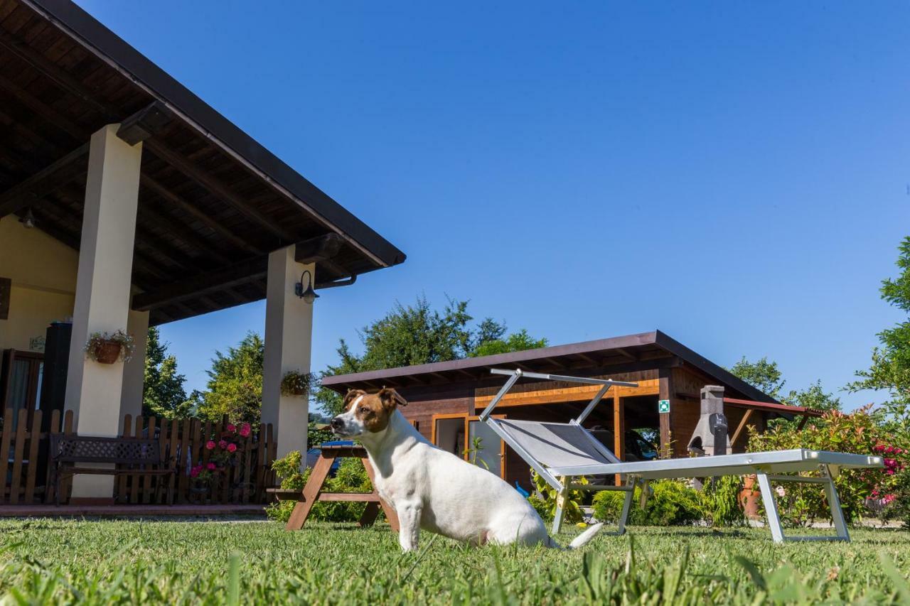 Agriturismo Ca' Di Mazza Monzuno エクステリア 写真